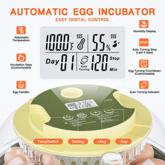 Etegow clear 360° window closeup offering visible monitoring advantage