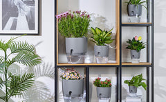 ETGLCOZY planters staged on a sunny windowsill with herbs illustrating convenient indoor use