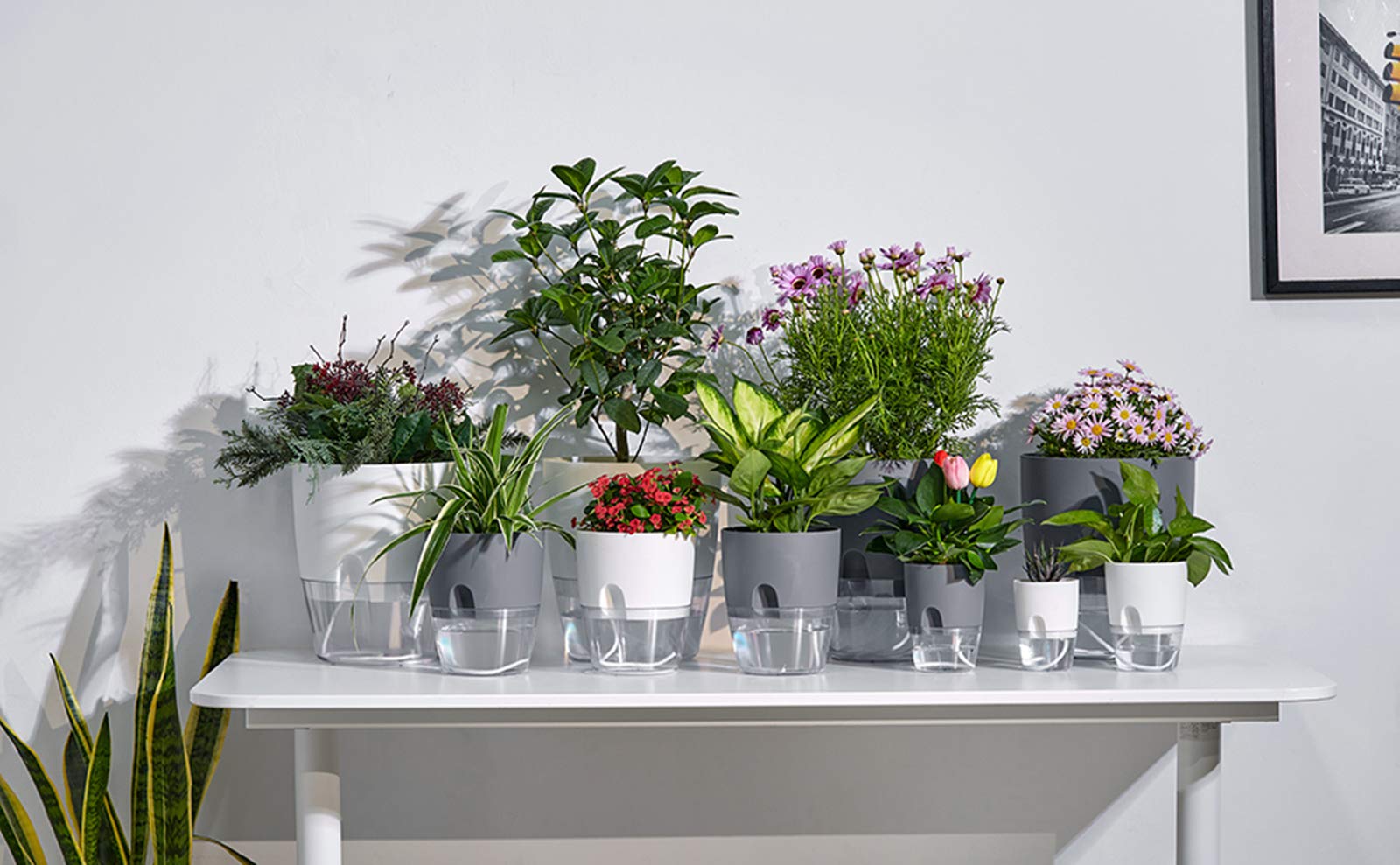 ETGLCOZY planter next to ruler showing size and scale to choose correct plant fit