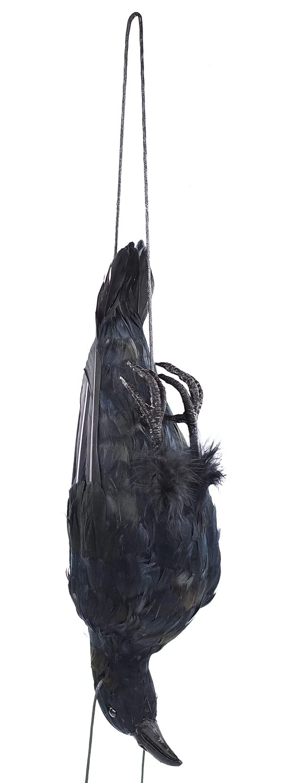 Etistta front view of lifesize crow showing realistic feathered appearance and detail