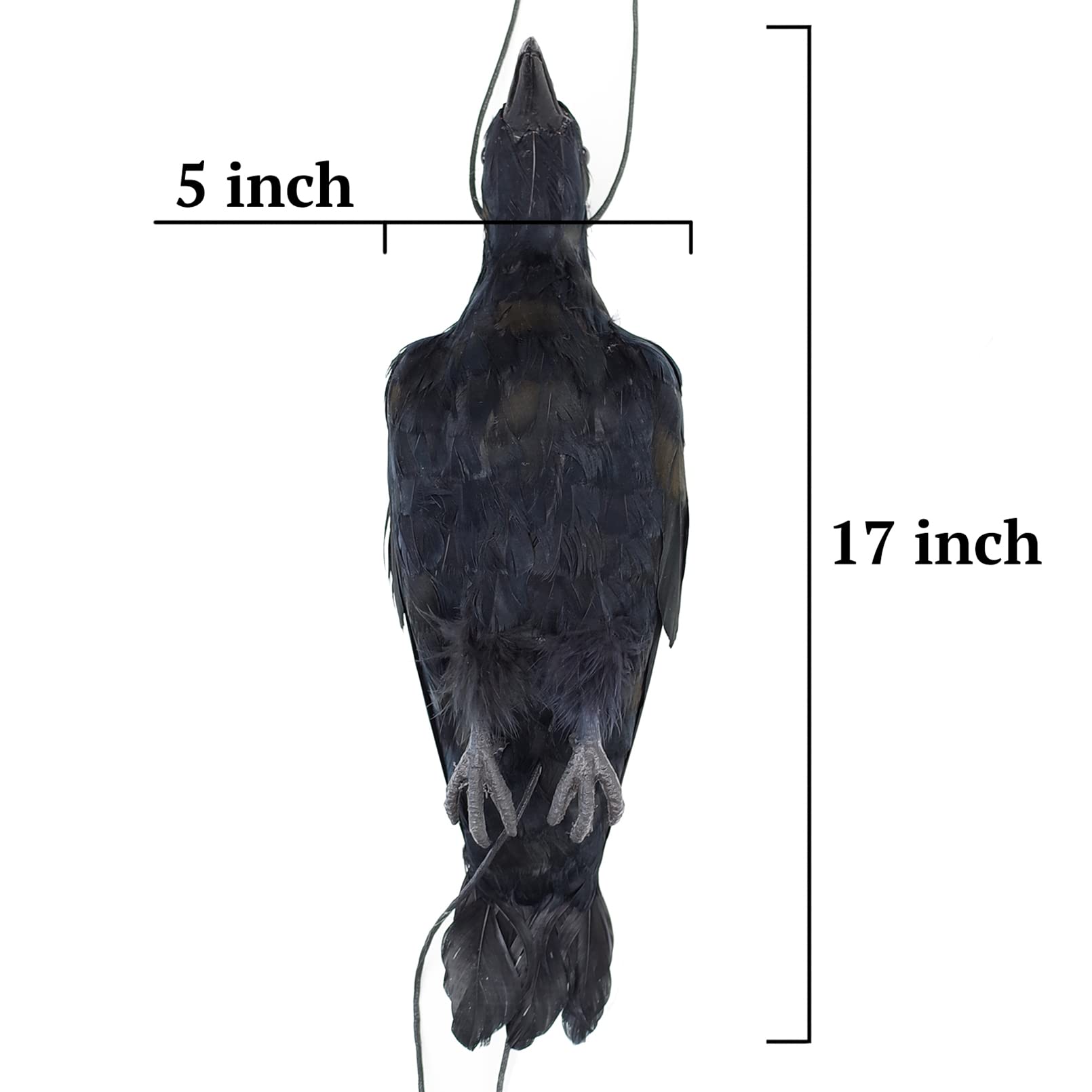 Etistta hanging upside down on tree branch showing dual-rope hanging option