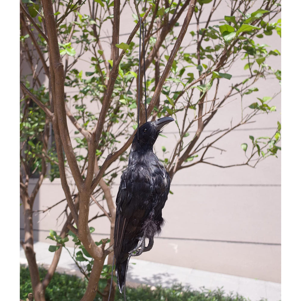 Etistta placed in garden bed for seasonal decor or photography staging