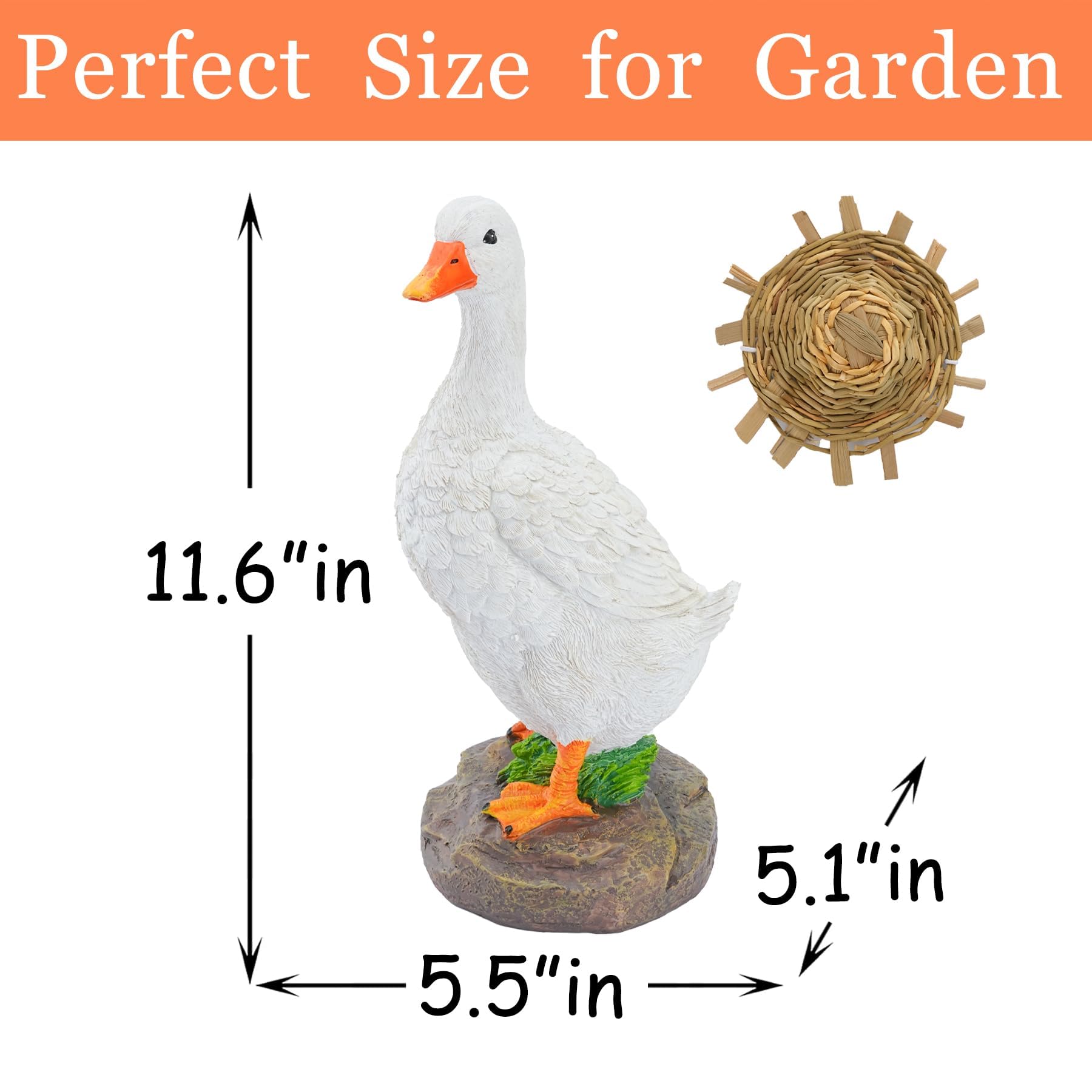 Euiroet duck in patio setting enhancing garden atmosphere and welcoming guests