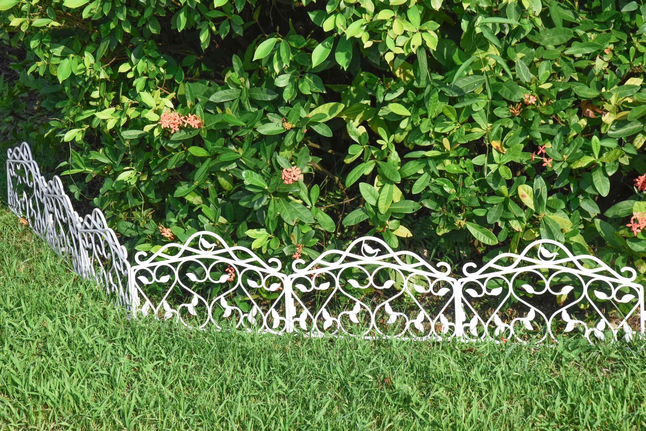Evelyne close-up of leaf and bird detail highlighting ornate design
