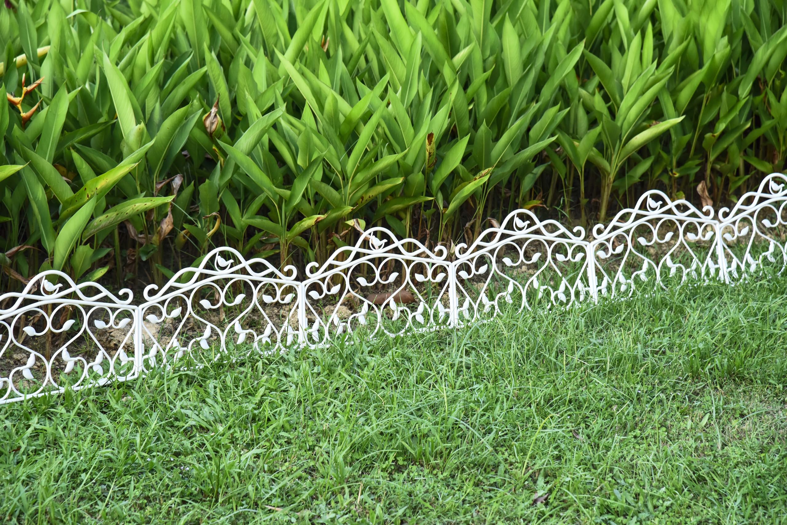 Evelyne garden border used on patio adding decorative finishing touch