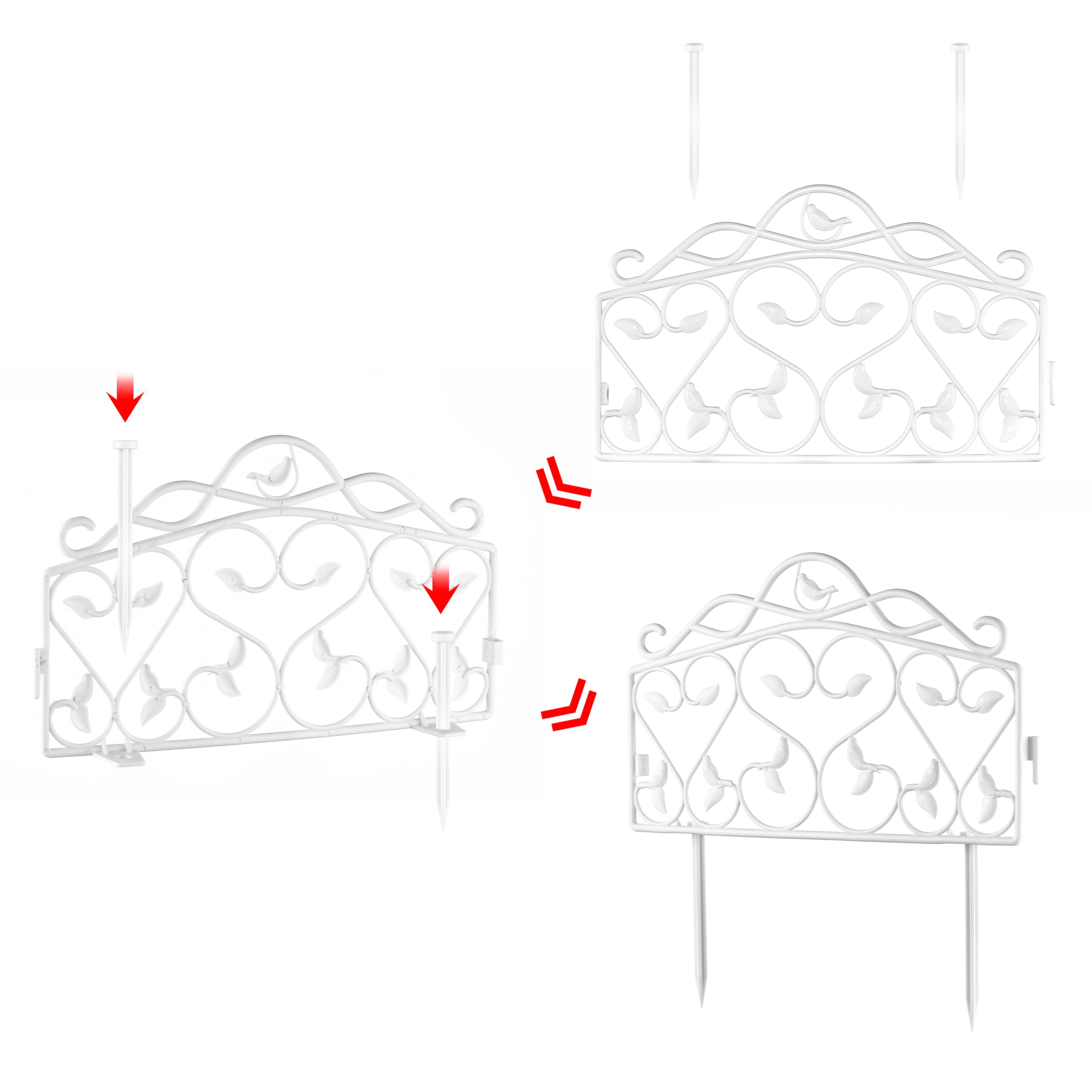 Evelyne panel beside ruler illustrating dimensions and scale advantage