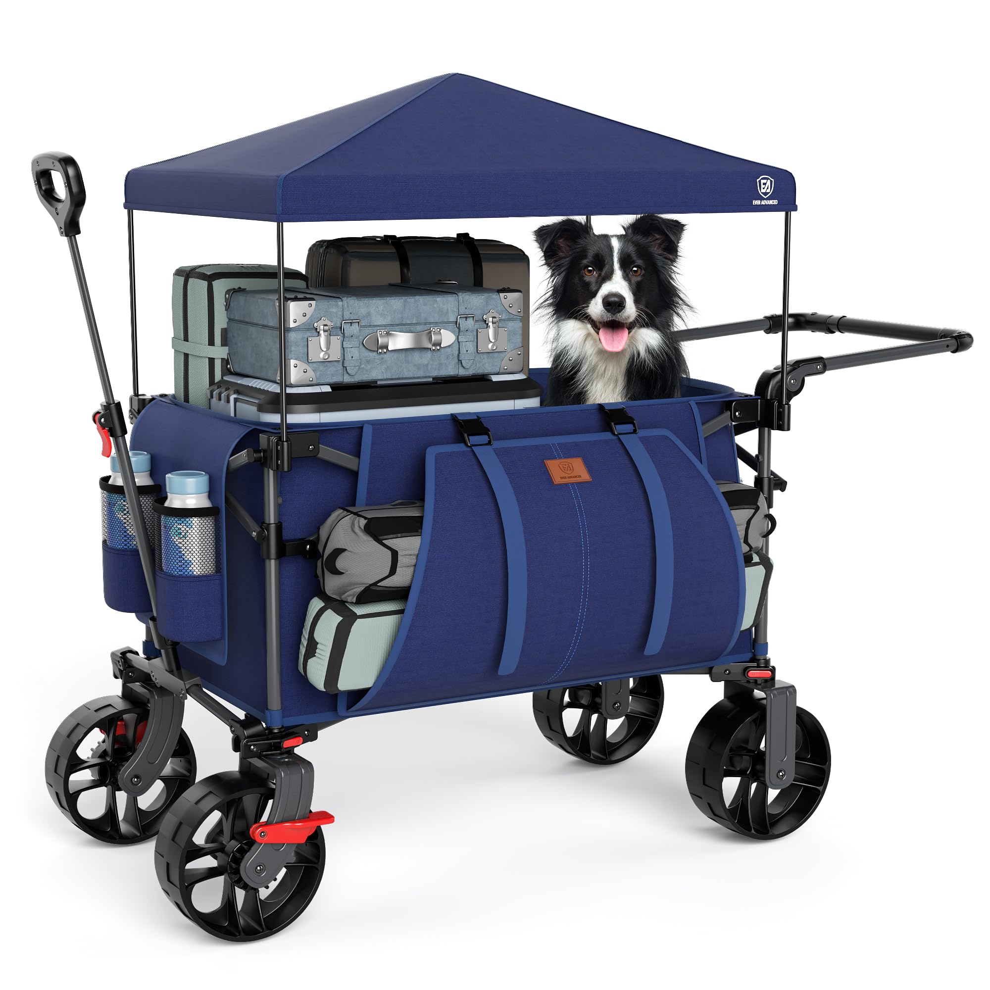 EVER ADVANCED front view of wagon showing full frame and canopy for easy transport