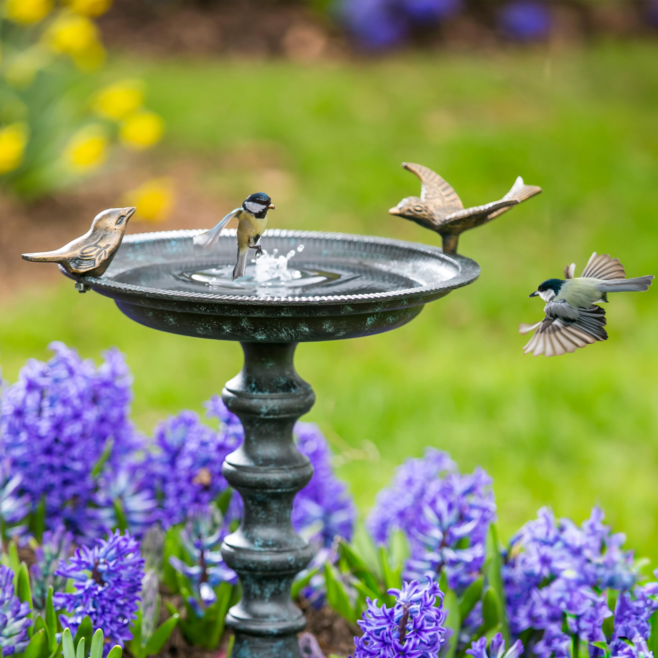 Evergreen Garden bird bath placed in garden near shrubs, invites birds while blending in