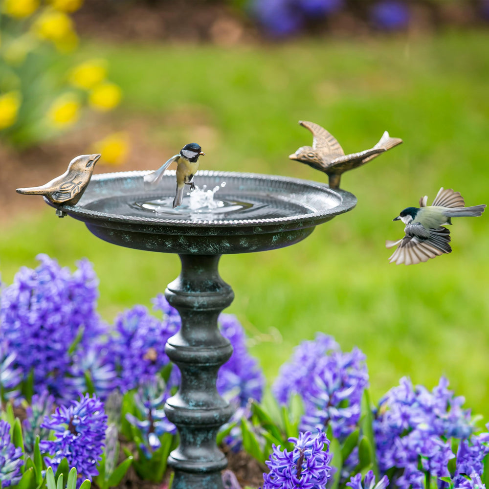 Evergreen Garden bird bath placed in garden near shrubs, invites birds while blending in