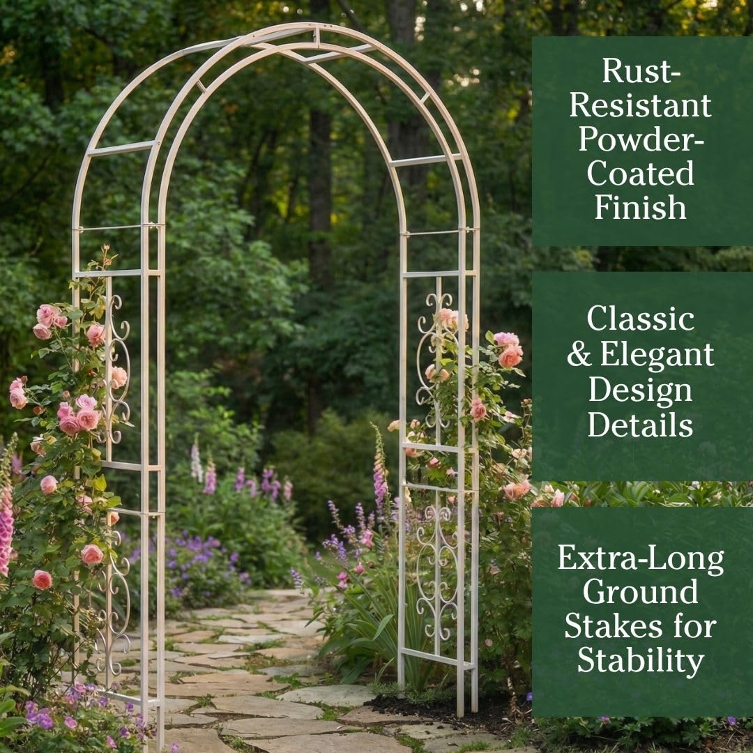 Evergreen Garden arbor next to person showing 7-foot height and scale for tall plants