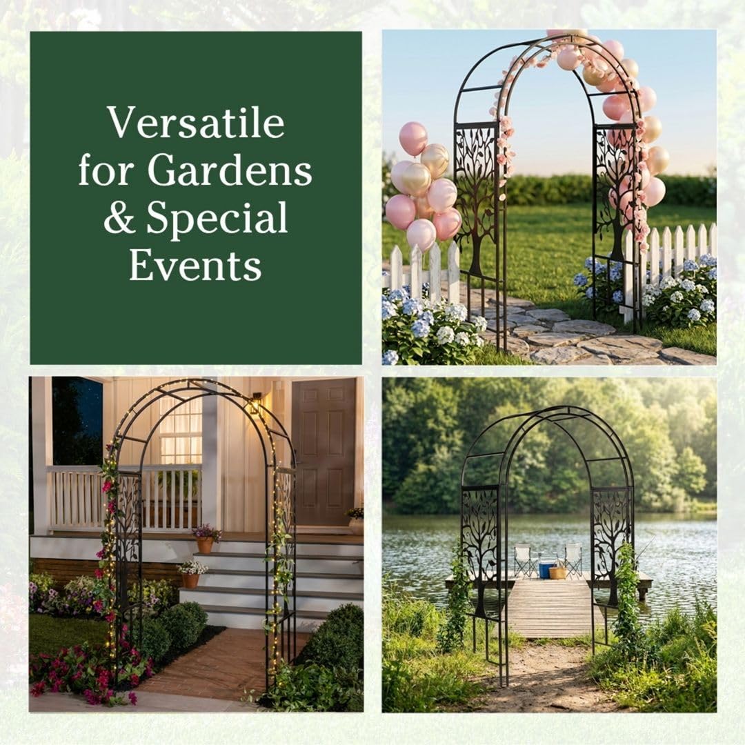 Evergreen Garden arch beside person shows 7-foot scale and garden proportion