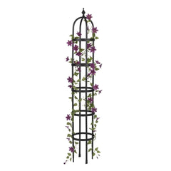 Evergreen Garden trellis front view shows sturdy black obelisk and decorative appeal