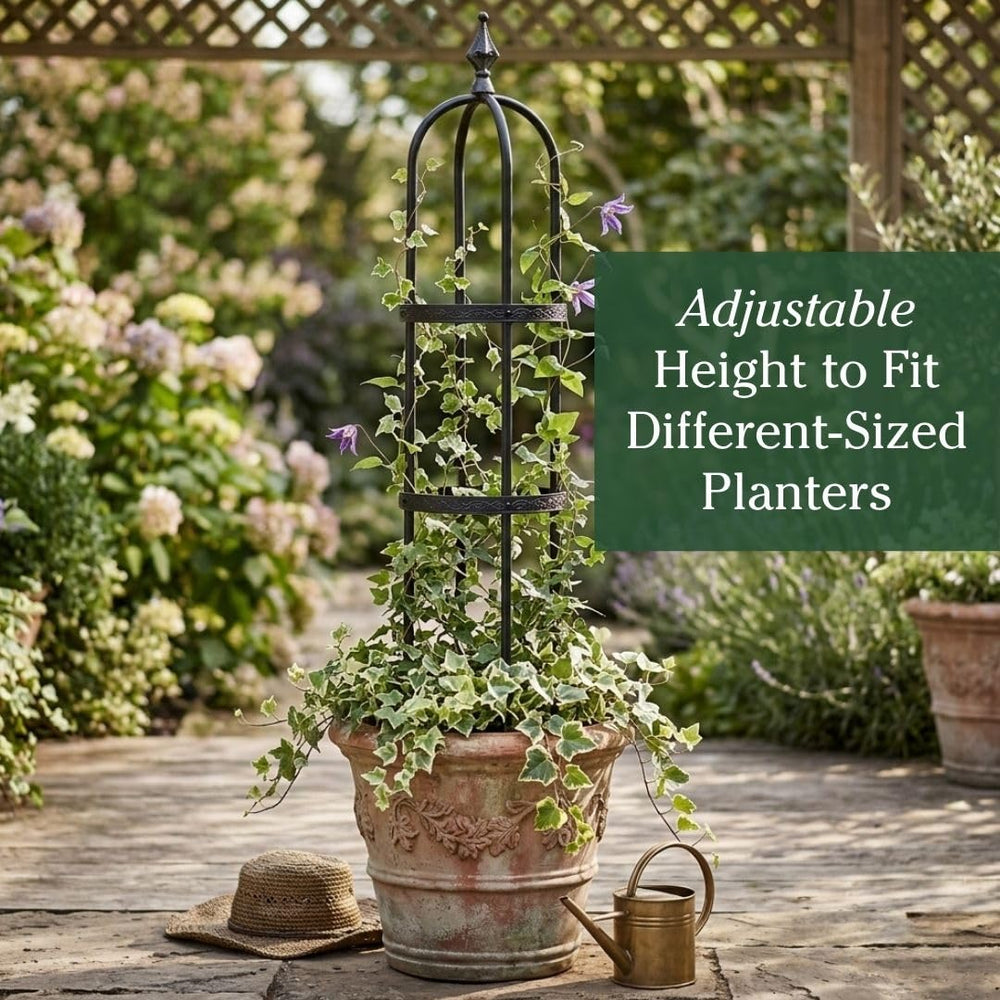 Evergreen Garden trellis scale comparison with yard showing 5 ft height and proportion