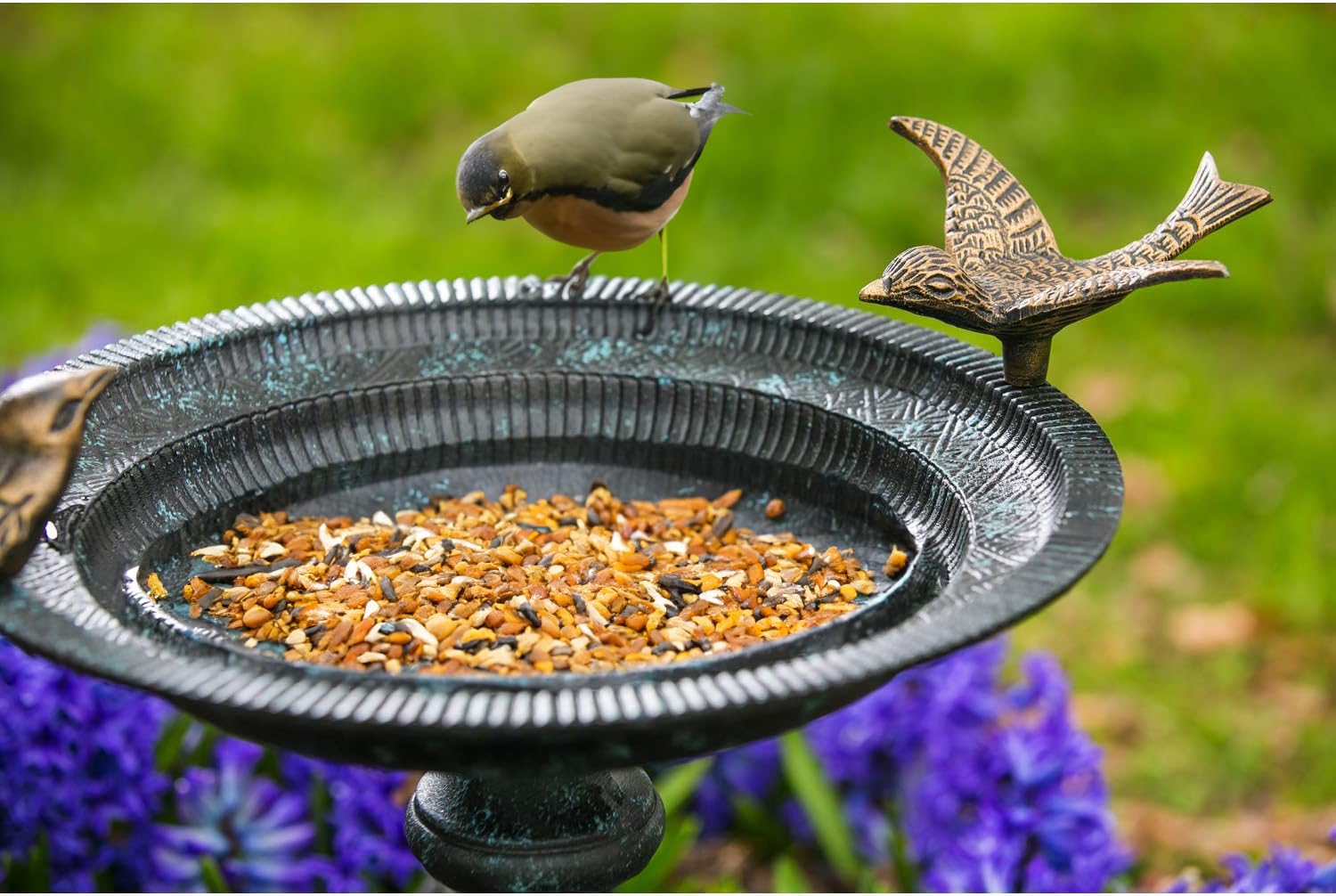 Evergreen Garden shallow bowl with water showing capacity and safe bird depth