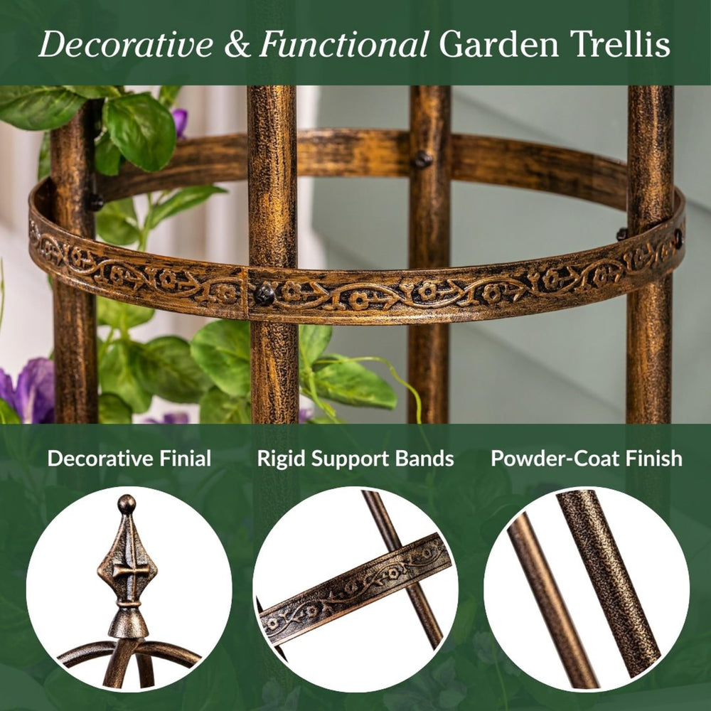 Evergreen obelisk placed in a clay planter offering vertical support for potted vines