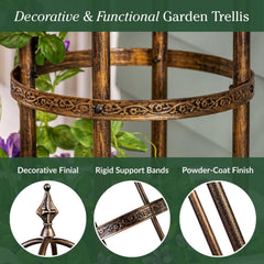 Evergreen obelisk placed in a clay planter offering vertical support for potted vines