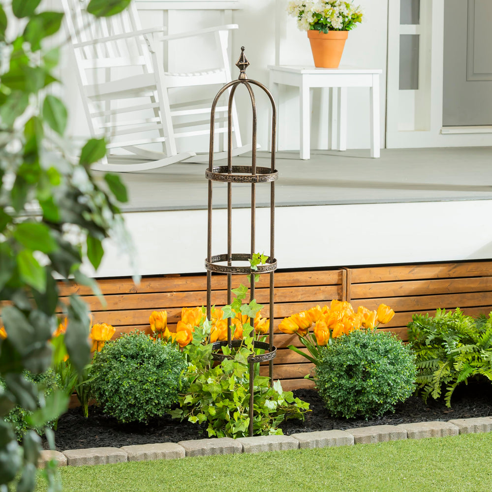 Evergreen trellis close-up of floral support band highlighting gentle plant anchoring benefit