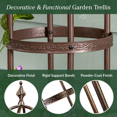 Evergreen trellis placed in a large planter showing space-saving vertical gardening benefit