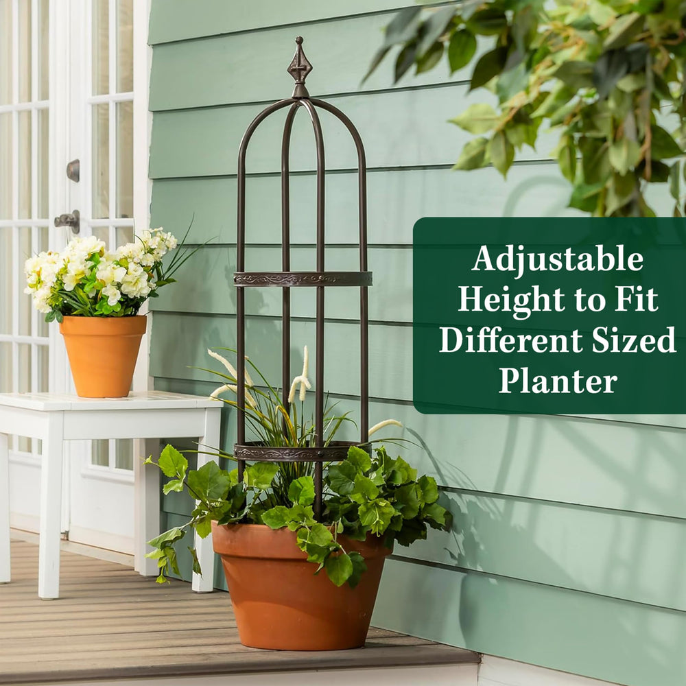 Evergreen trellis beside garden chair showing scale and decorative garden enhancement benefit