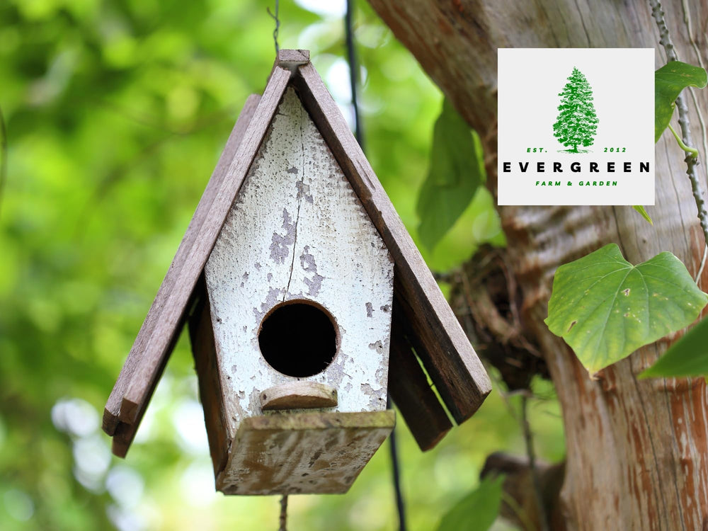 Evergreen Farm and Garden lifestyle balcony scene with cylinder hung attracting backyard birds