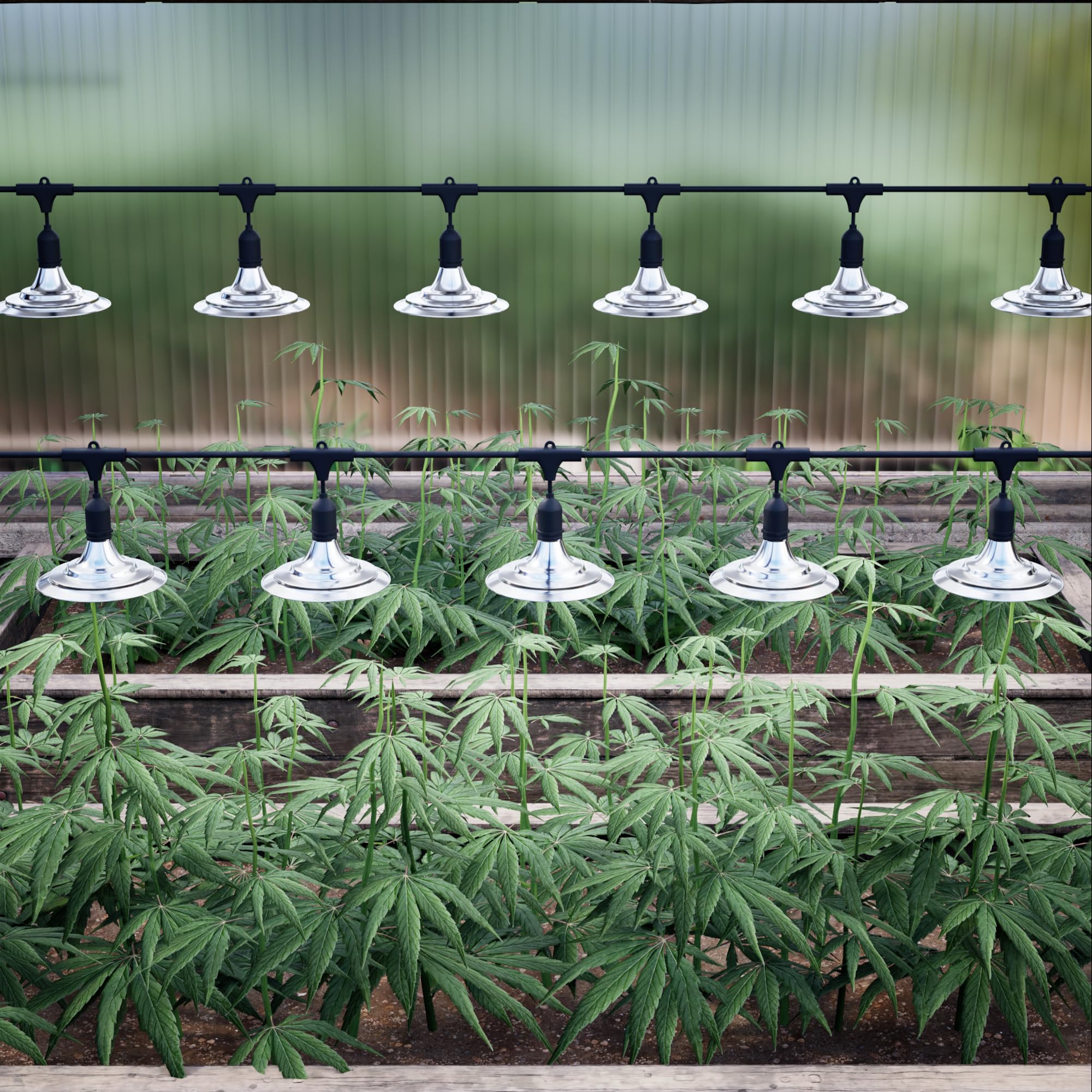 EVERYGROW illuminating plants at night showing enhanced visibility and growth support