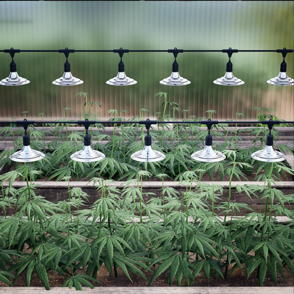 EVERYGROW illuminating plants at night showing enhanced visibility and growth support