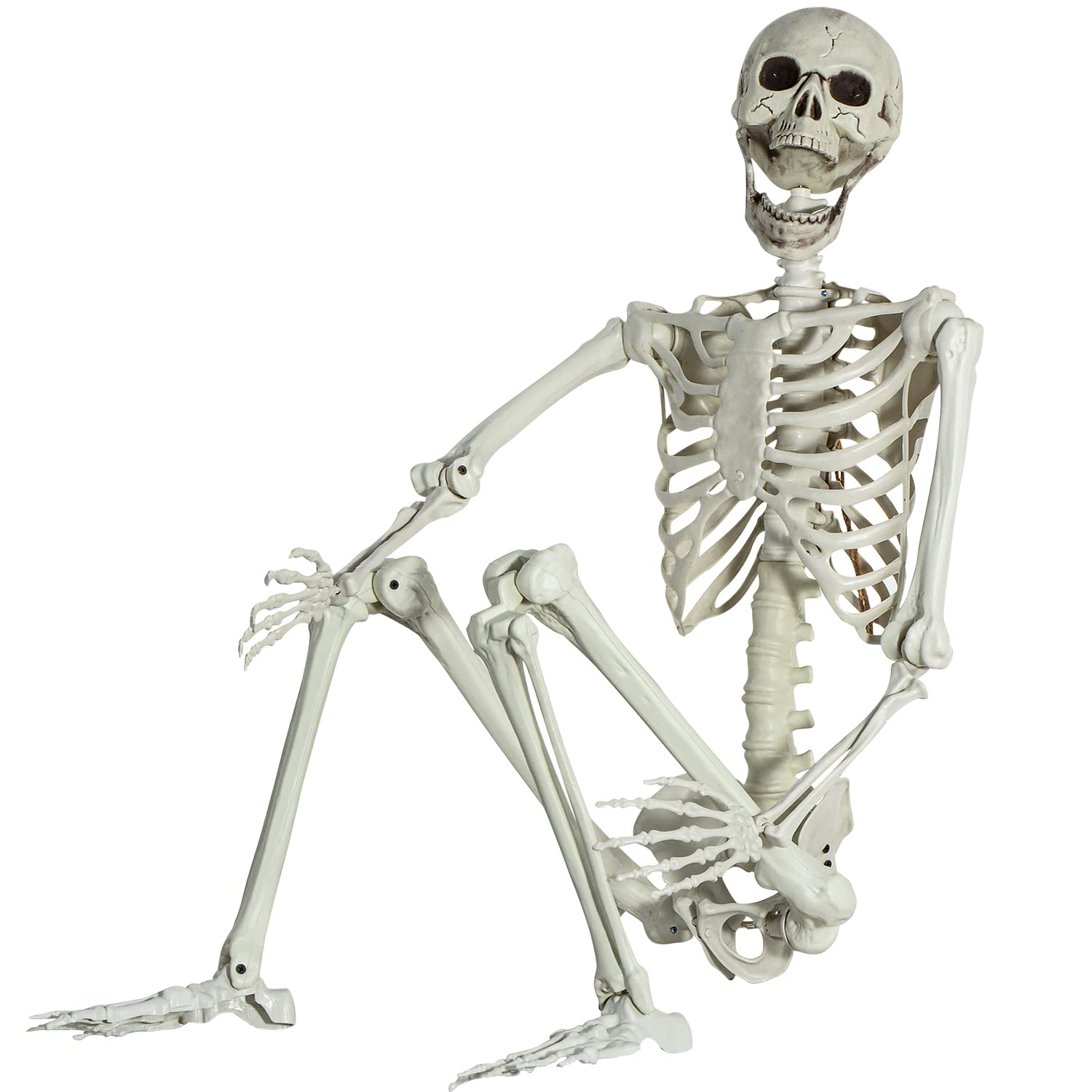 EVINIS front view of full 5.4ft skeleton showing realistic pose and easy setup