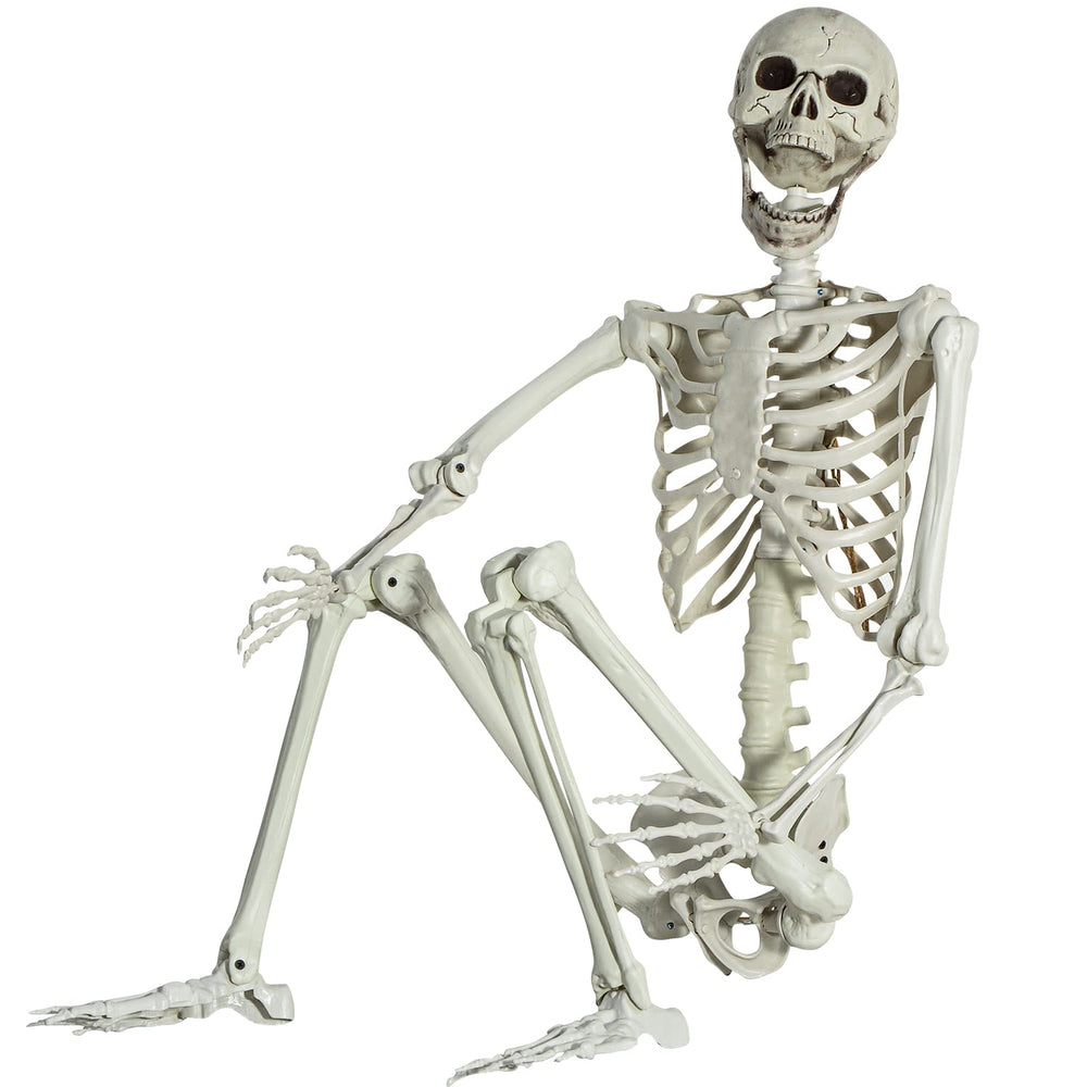 EVINIS front view of full 5.4ft skeleton showing realistic pose and easy setup