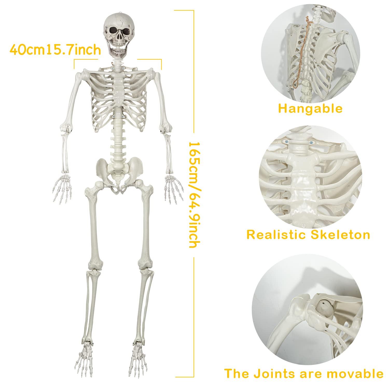 EVINIS skeleton hanging on porch creating instant Halloween curb appeal