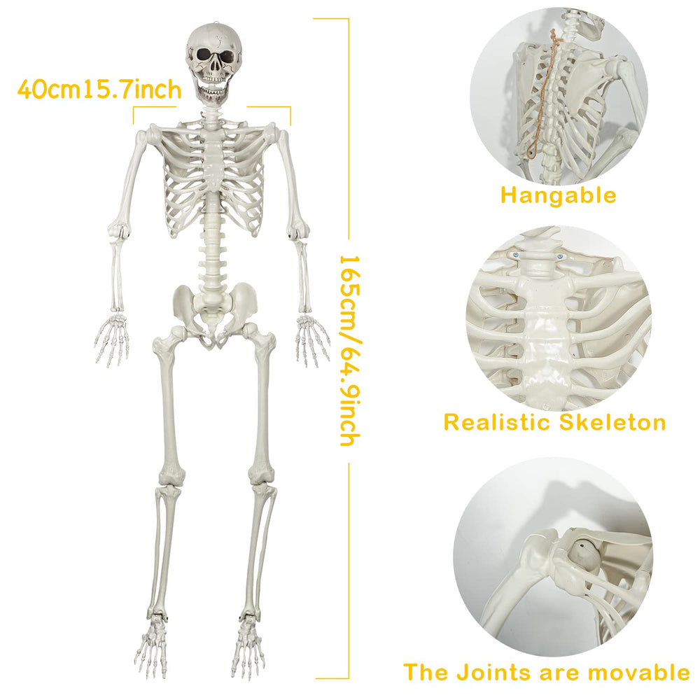 EVINIS skeleton hanging on porch creating instant Halloween curb appeal