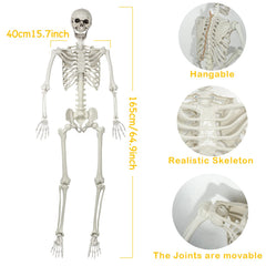 EVINIS skeleton hanging on porch creating instant Halloween curb appeal