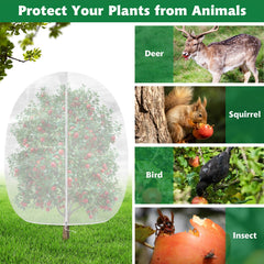 Evoio ultra-fine 60-mesh close-up texture protecting fruit while allowing light