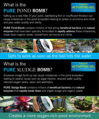 Evolution Aqua PURE Duo Pack applied to pond surface speeds particle breakdown