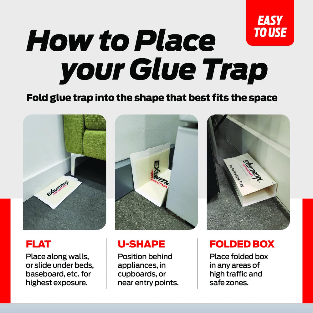 Extermanix sticky trap with captured insect illustrating effective control