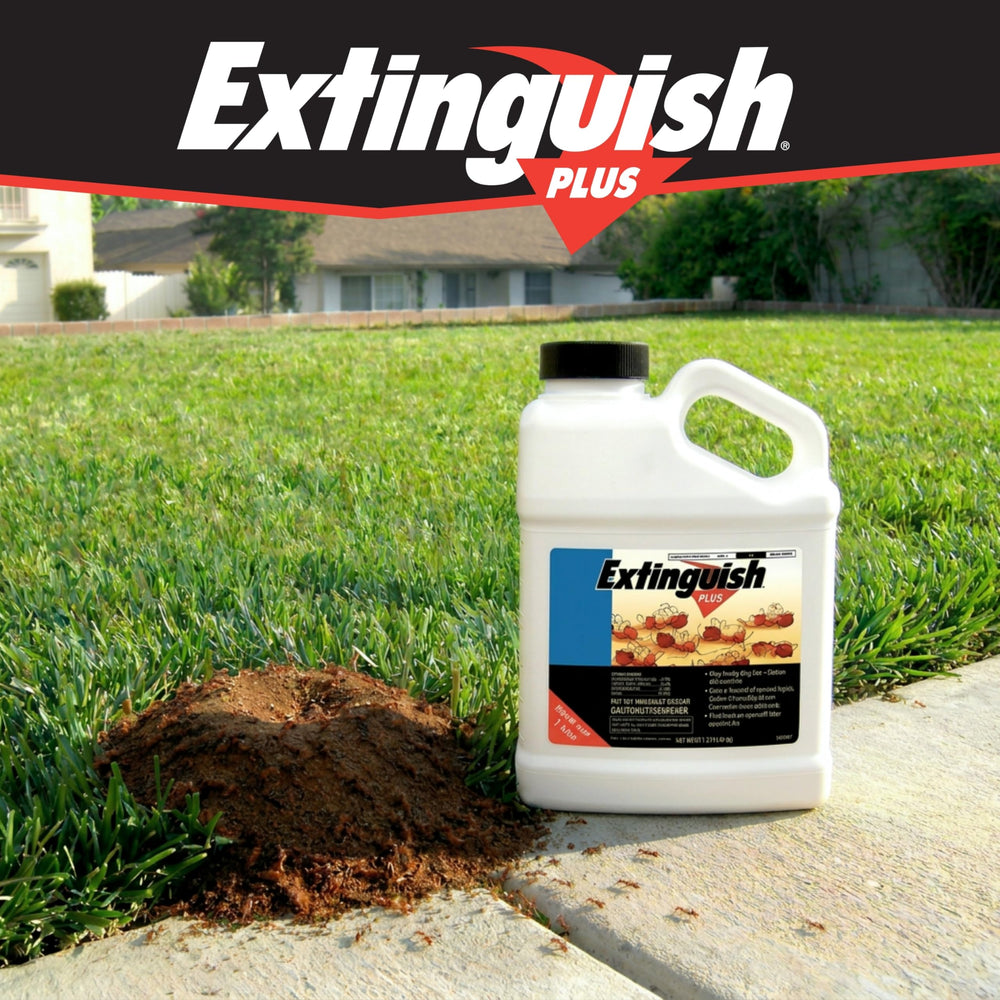 Open Extinguish container displaying dry bait for easy application
