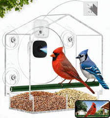 Exubriant clear feeder front view showing camera and seed tray benefit: easy observation