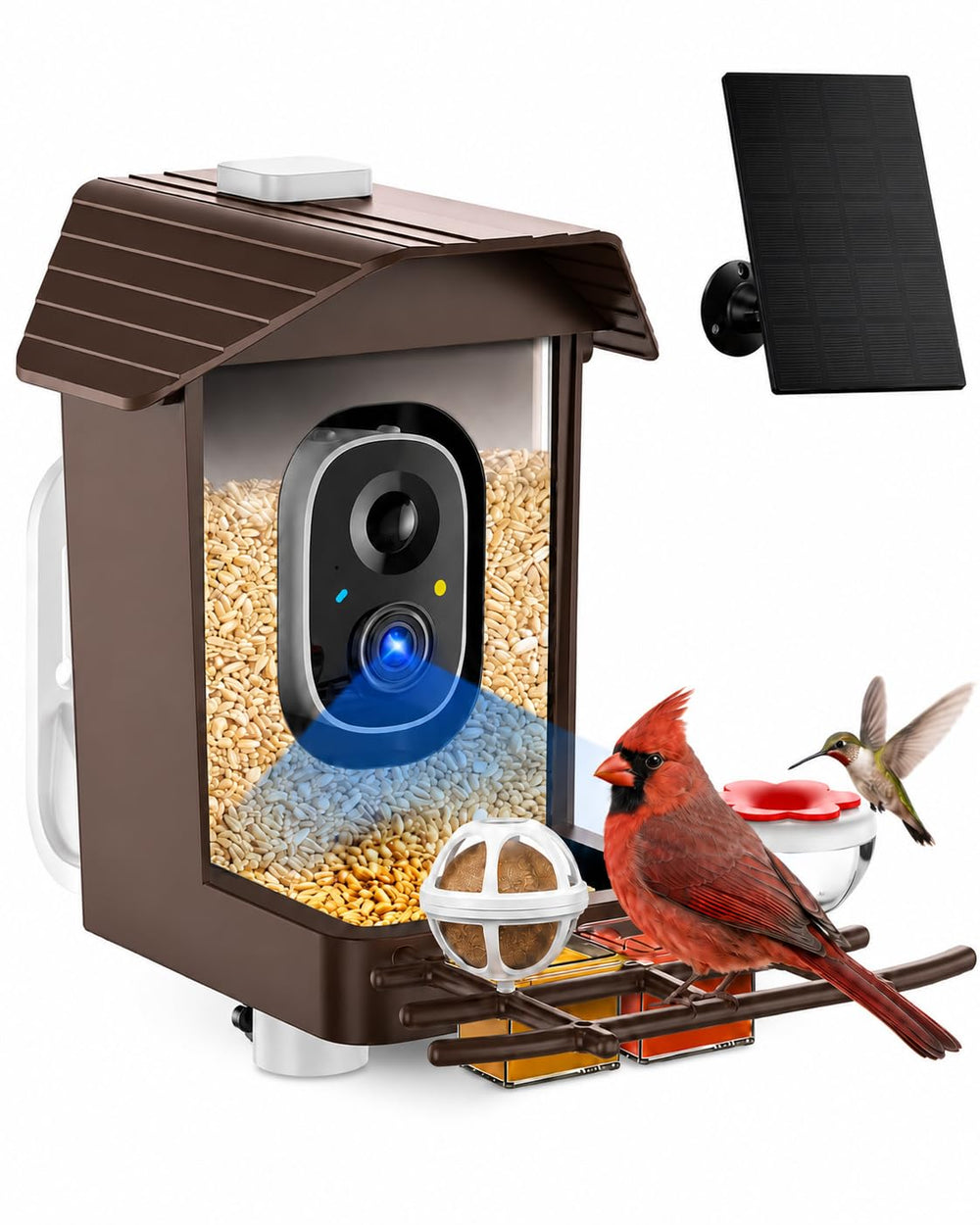 Exubriant front view of feeder showing camera and seed hopper, ideal for clear monitoring