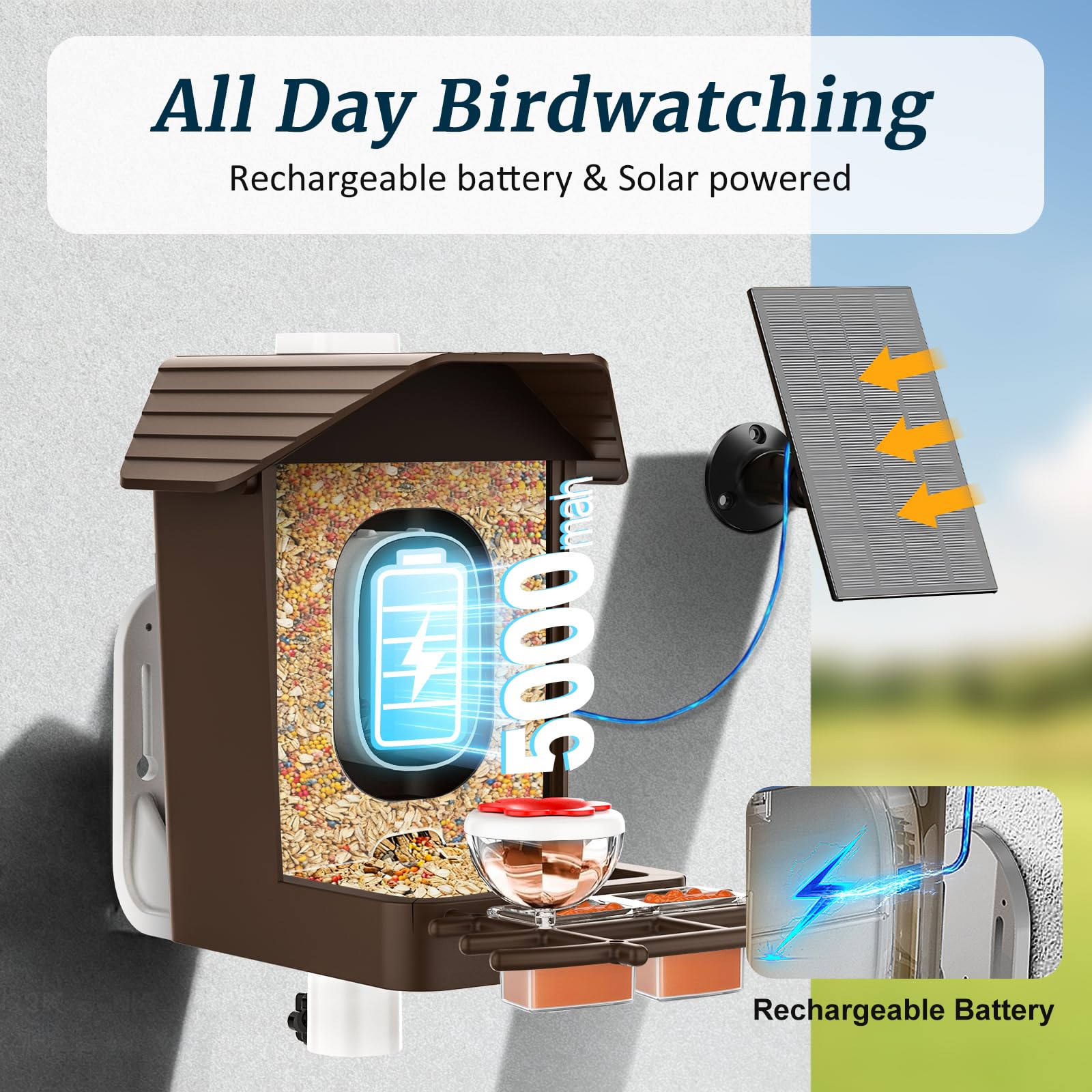 Exubriant mounted on tree in backyard creating stable birdwatching and scenic footage