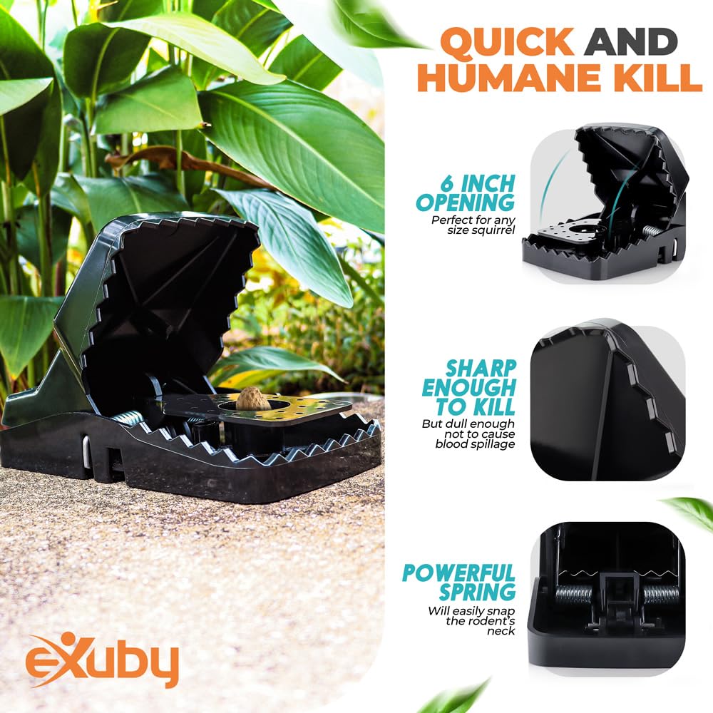 eXuby trap placed in attic demonstrating discreet protected use