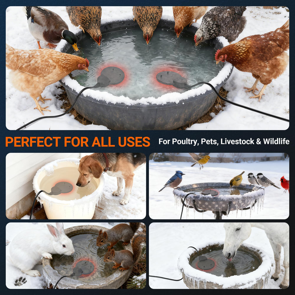 eyiseiy in koi pond providing gentle warmth to maintain liquid water