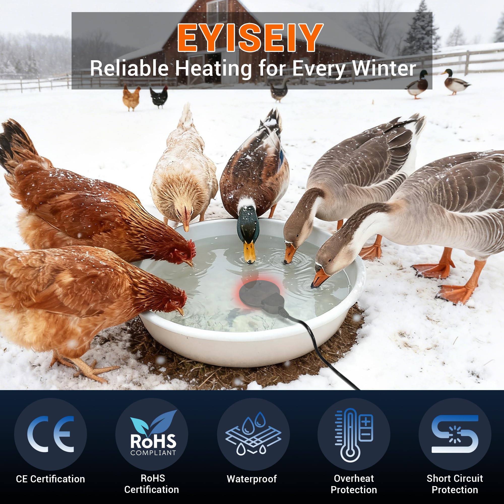 eyiseiy packaged ready to gift ideal for poultry owners and farmers