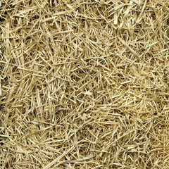 EZ Straw close-up of straw fibers and netting demonstrating seed protection
