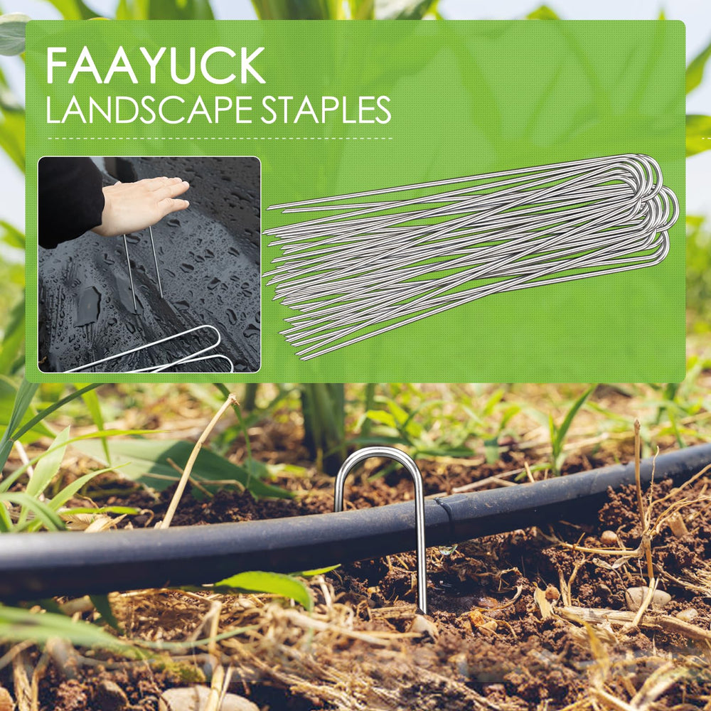 FAAYUCK staple holding irrigation tubing in place, showing organized watering benefit