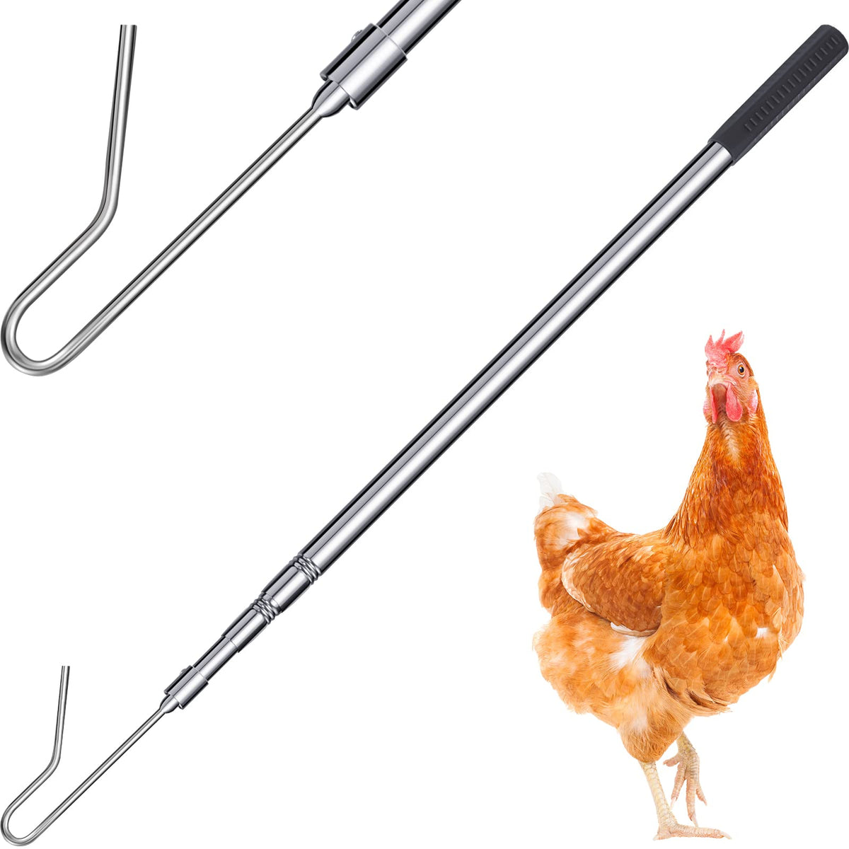 Fabbay front view of collapsible chicken catcher pole showing compact form and portability