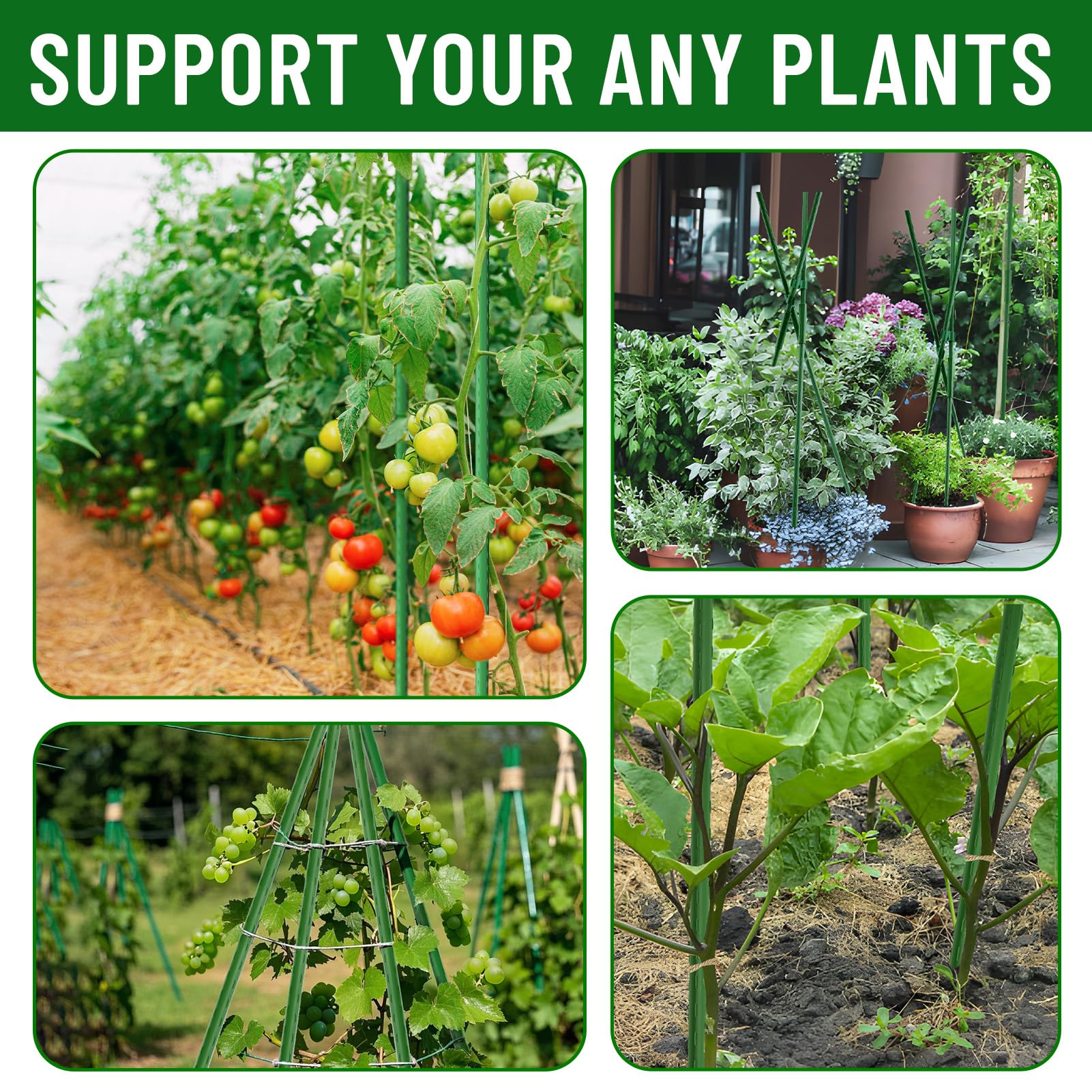 Fabulas stakes used as trellis in garden showing neat, space-saving plant support