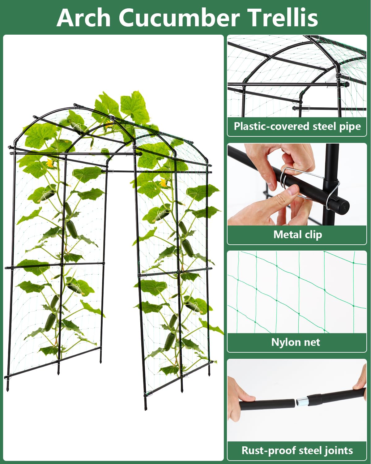 FAHKNS arch supporting cucumbers and squash for cleaner harvests and airflow