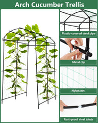 FAHKNS arch supporting cucumbers and squash for cleaner harvests and airflow