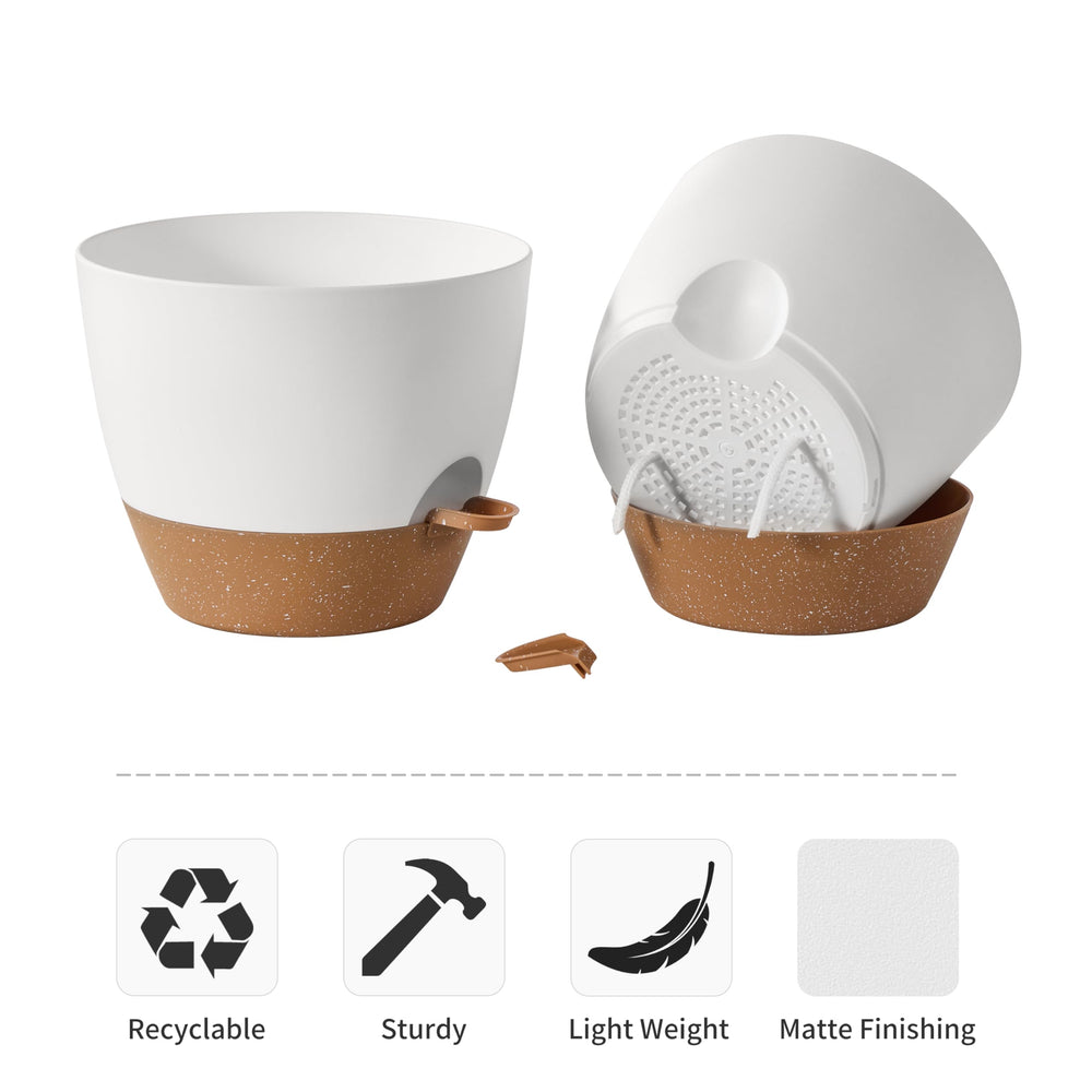 FaithLand 10-inch herb trio on counter provides fresh kitchen herbs