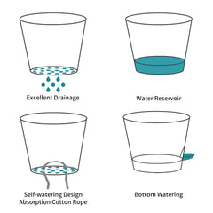 FaithLand clip-on watering lip demonstrates spill-free top-up benefit