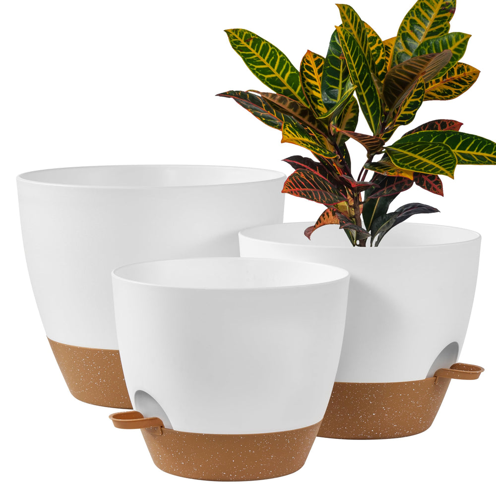 FaithLand front view three planters neat modern look
